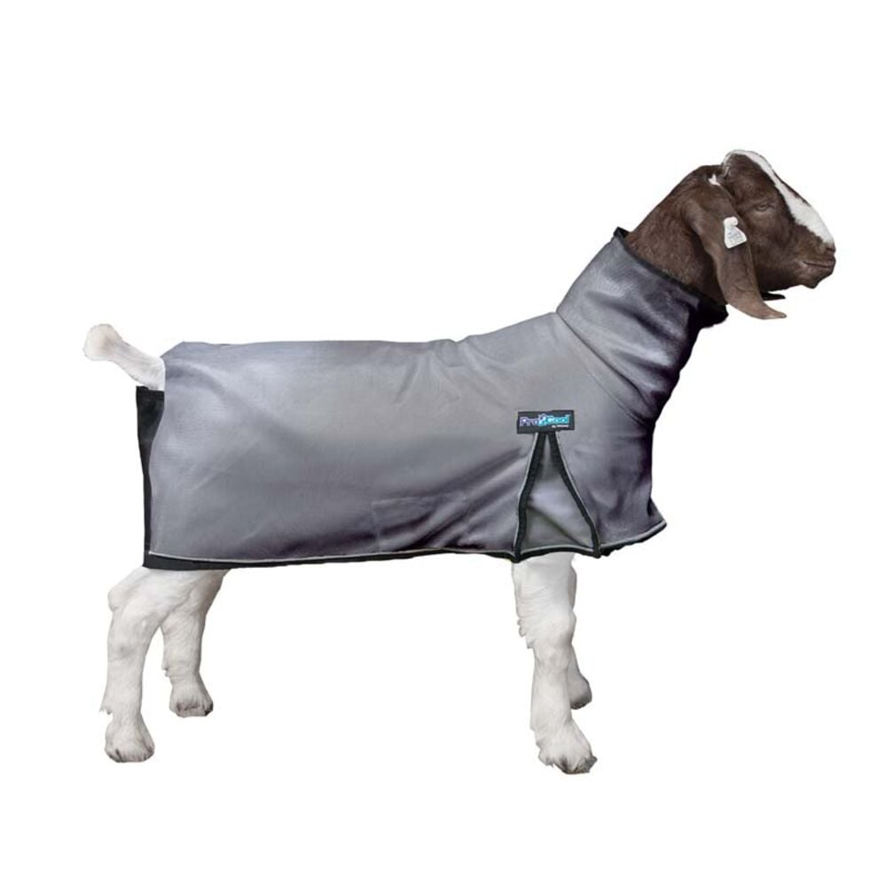 image of ProCool Goat Blanket with Reflective Piping, Large, Gray
