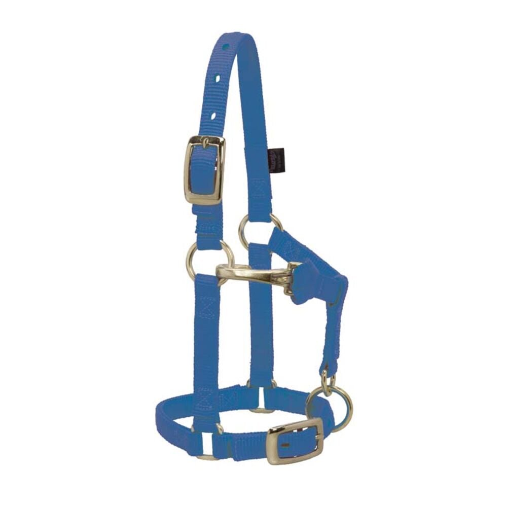 image of Miniature Horse Adjustable Chin & Throat Snap Halter- Average