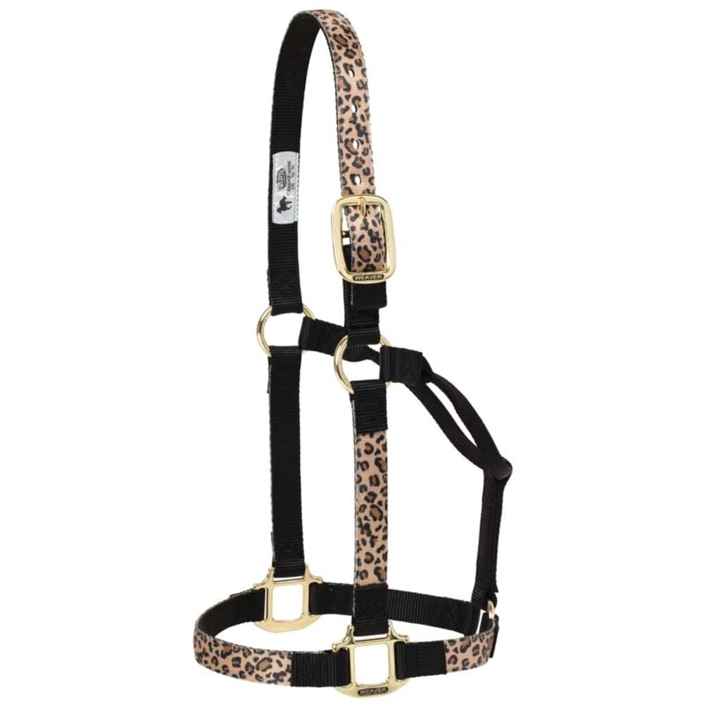 image of Adjustable Patterned Nylon Horse Halter- Average