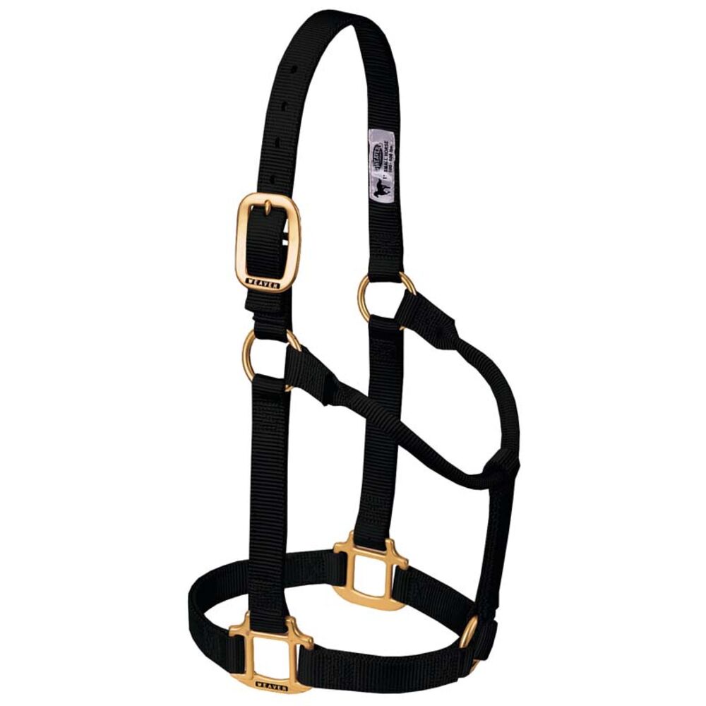 image of Original Non-Adjustable Nylon Horse Halter, Black, Yearling