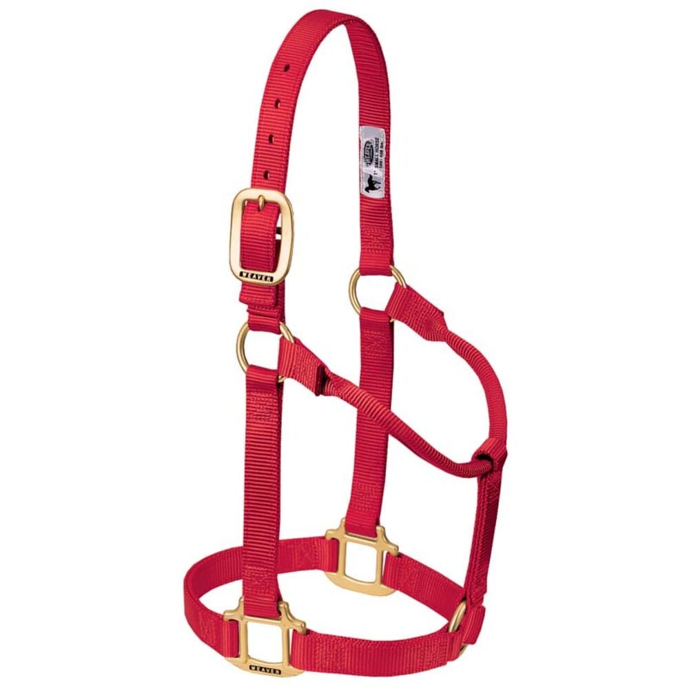 image of Non-Adjustable Nylon Horse Halter- Red, Yearling