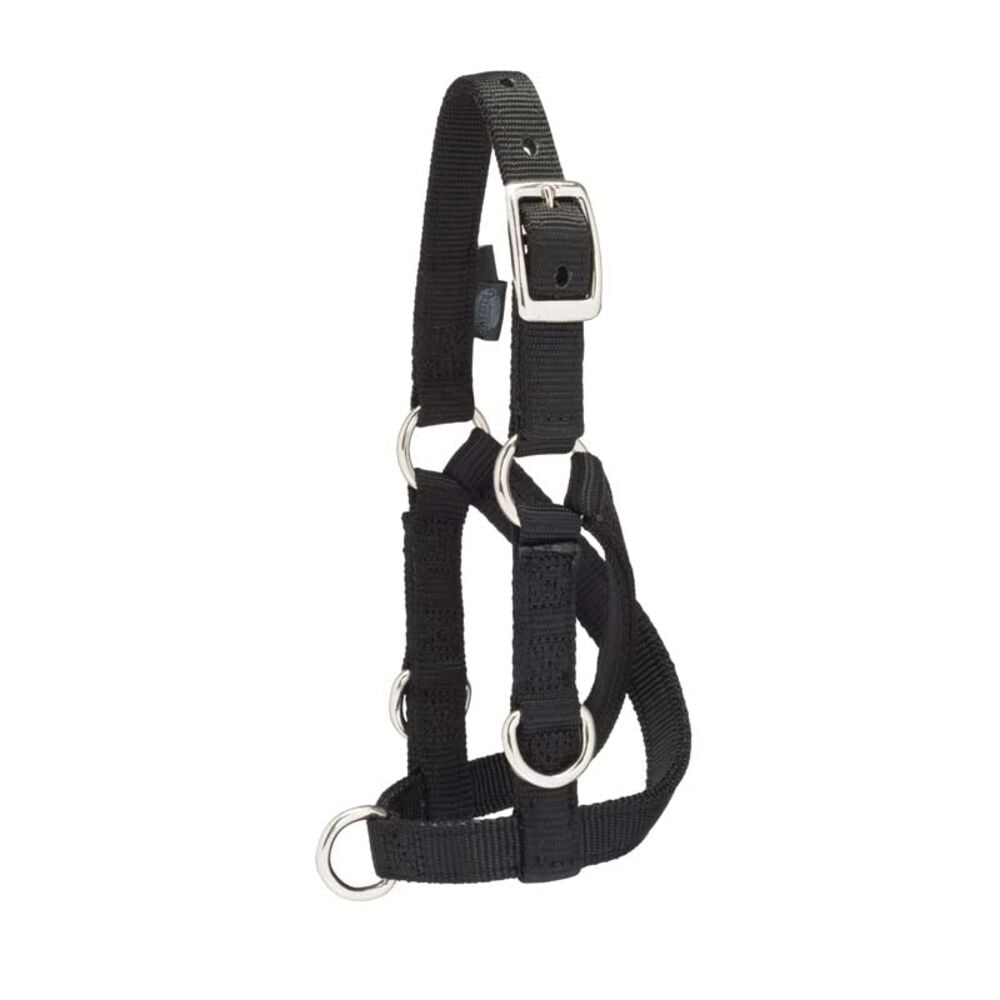 image of Sheep & Goat Training Halter, Medium, Black