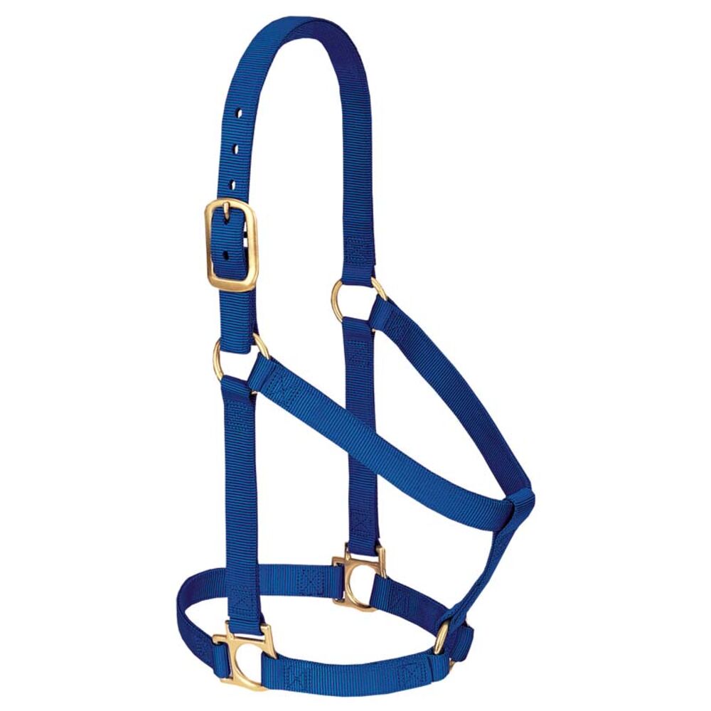 image of Non-Adjustable Nylon Halter, Black, 1-inch Average Horse