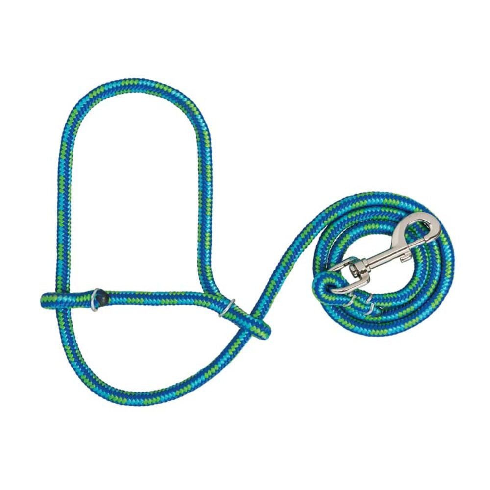 image of Poly Rope Sheep Halter with Snap