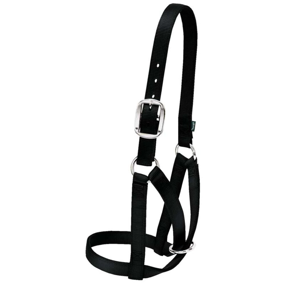 image of Barn Cow Halter- Black, Large