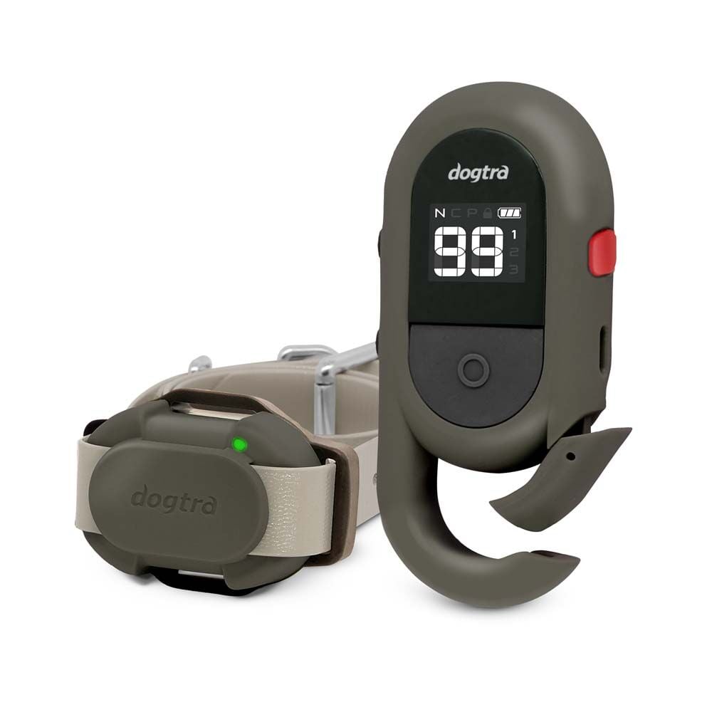image of CUE Remote Dog Training eCollar (2nd Generation), Gray