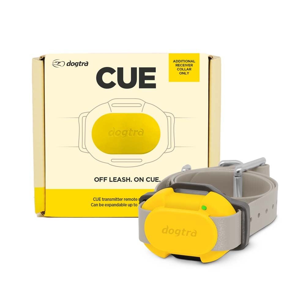 image of CUE Additional Receiver, Yellow