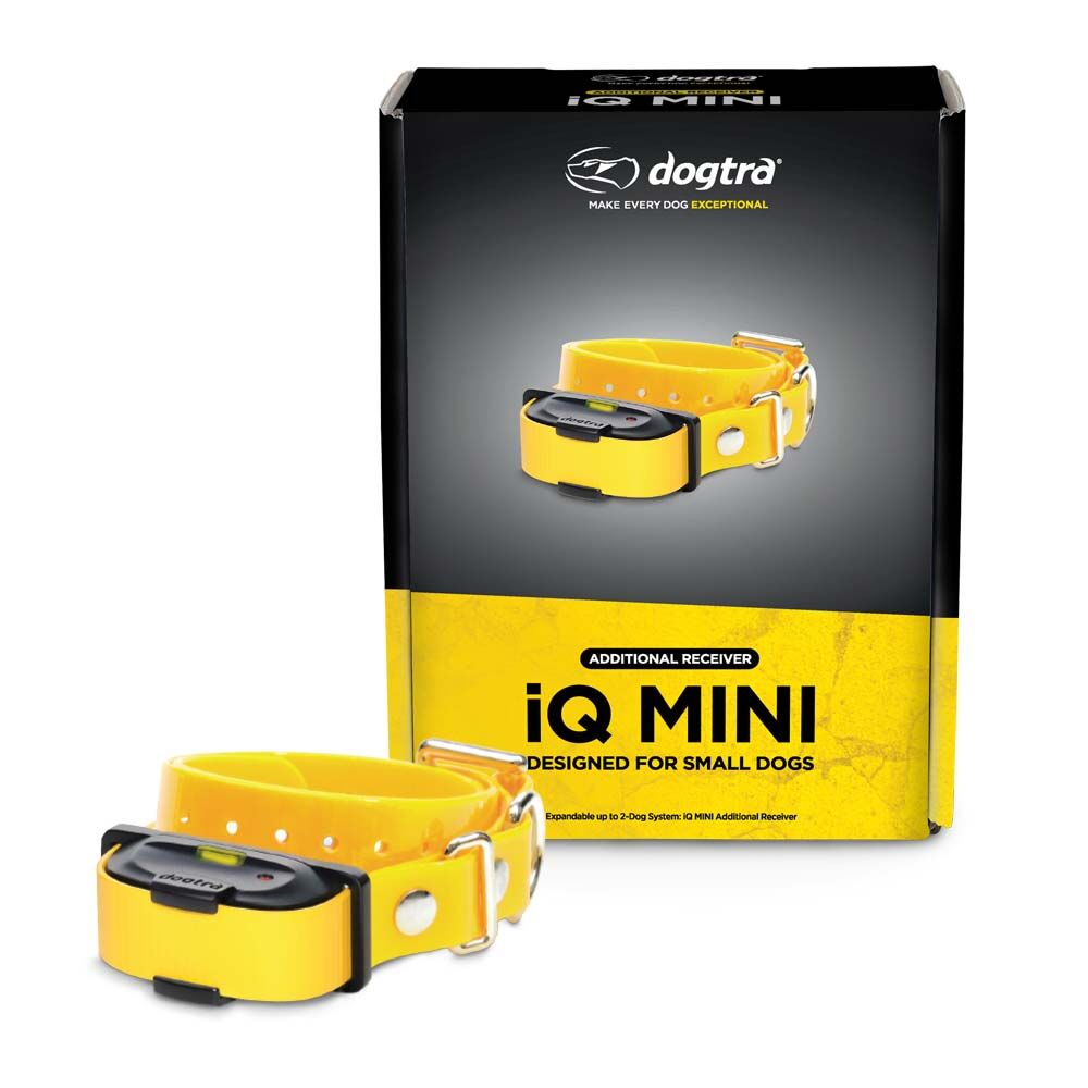 image of iQ MINI Additional Receiver, Yellow