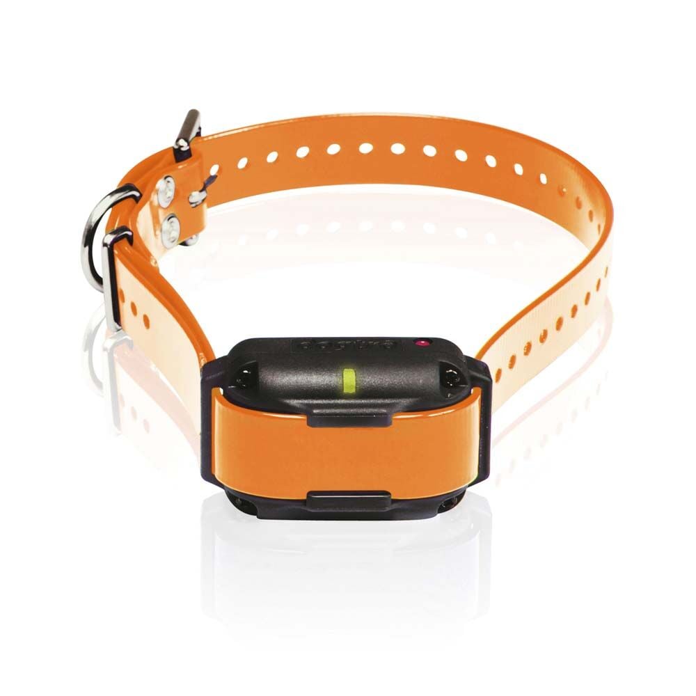 image of 2300NCP Additional Receiver Professional Grade High-Output 3/4-Mile 2-Dog Expandable Remote Training E-Collar