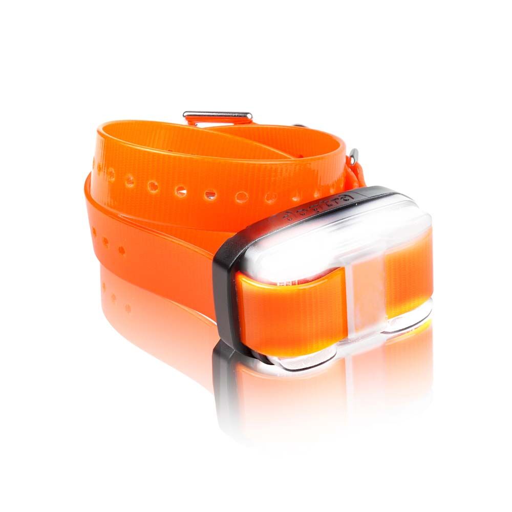 image of EDGE RX Additional Receiver Remote Dog Training E-Collar, Orange