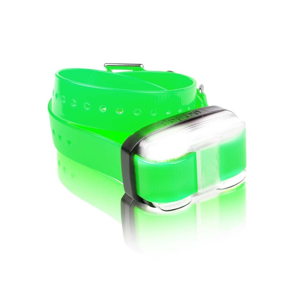 image of EDGE RX Additional Receiver Remote Dog Training E-Collar, Green