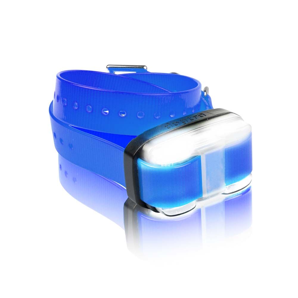 image of EDGE RX Additional Receiver Remote Dog Training E-Collar, Blue