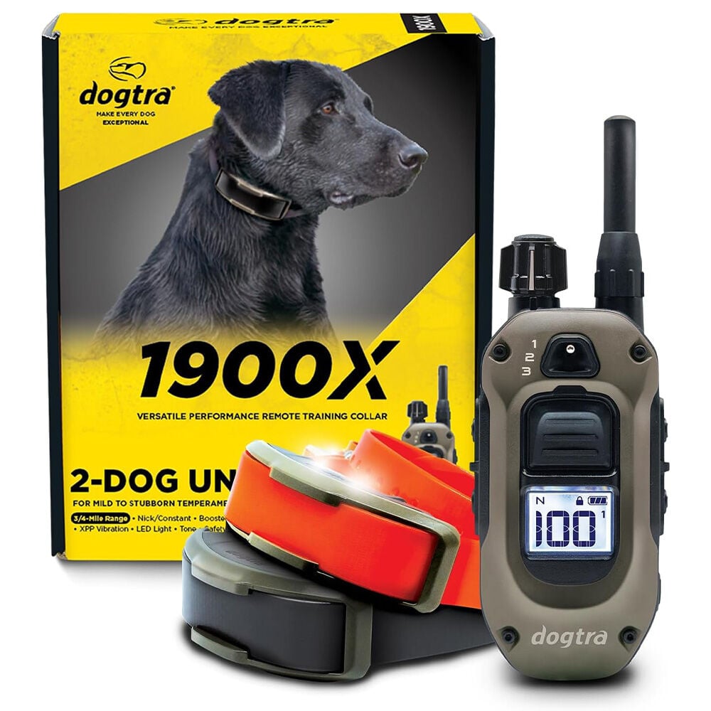 image of 1900X 2-Dogs E-Collar with Remote