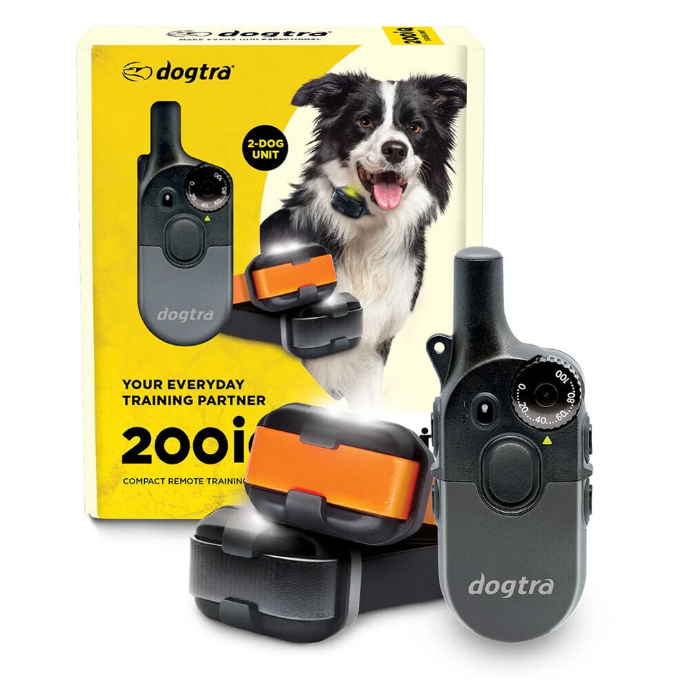 image of 200iQ 2-Dogs E-Collar with Remote