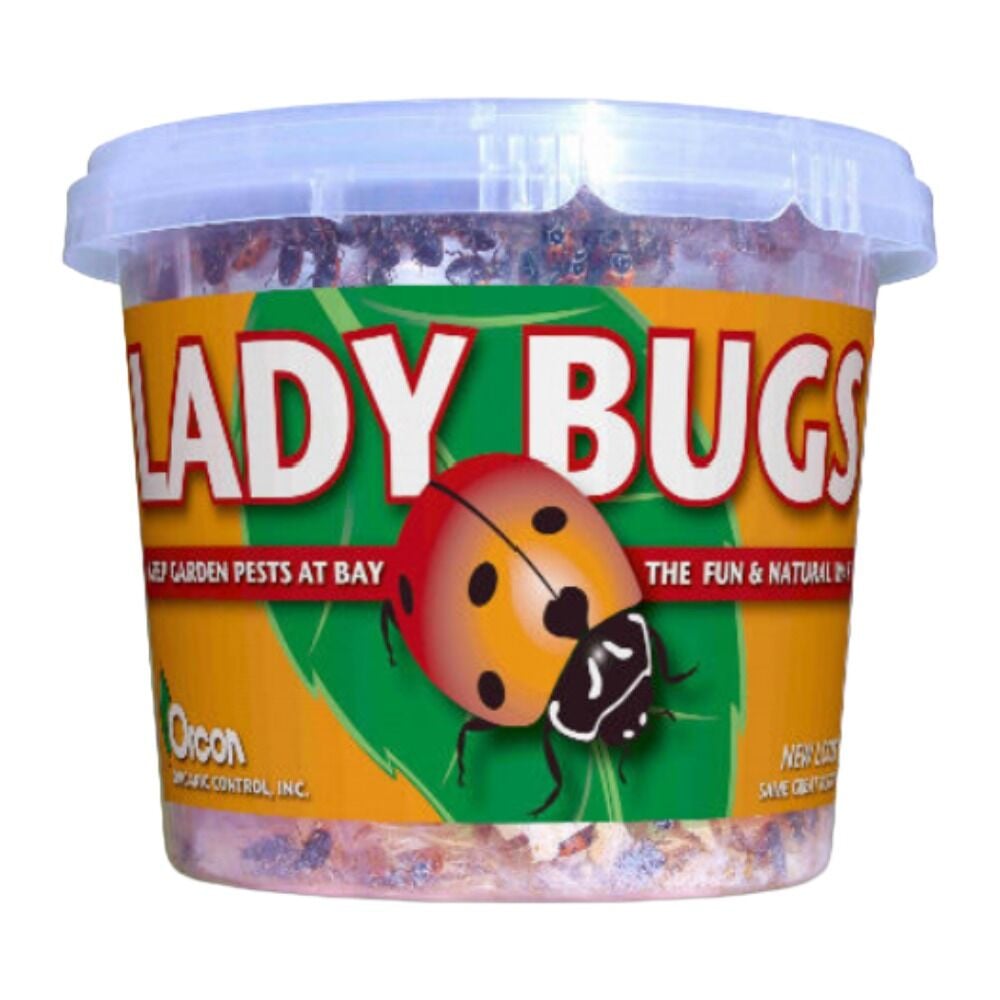 image of Orcon Ladybugs, 500 Per Cup