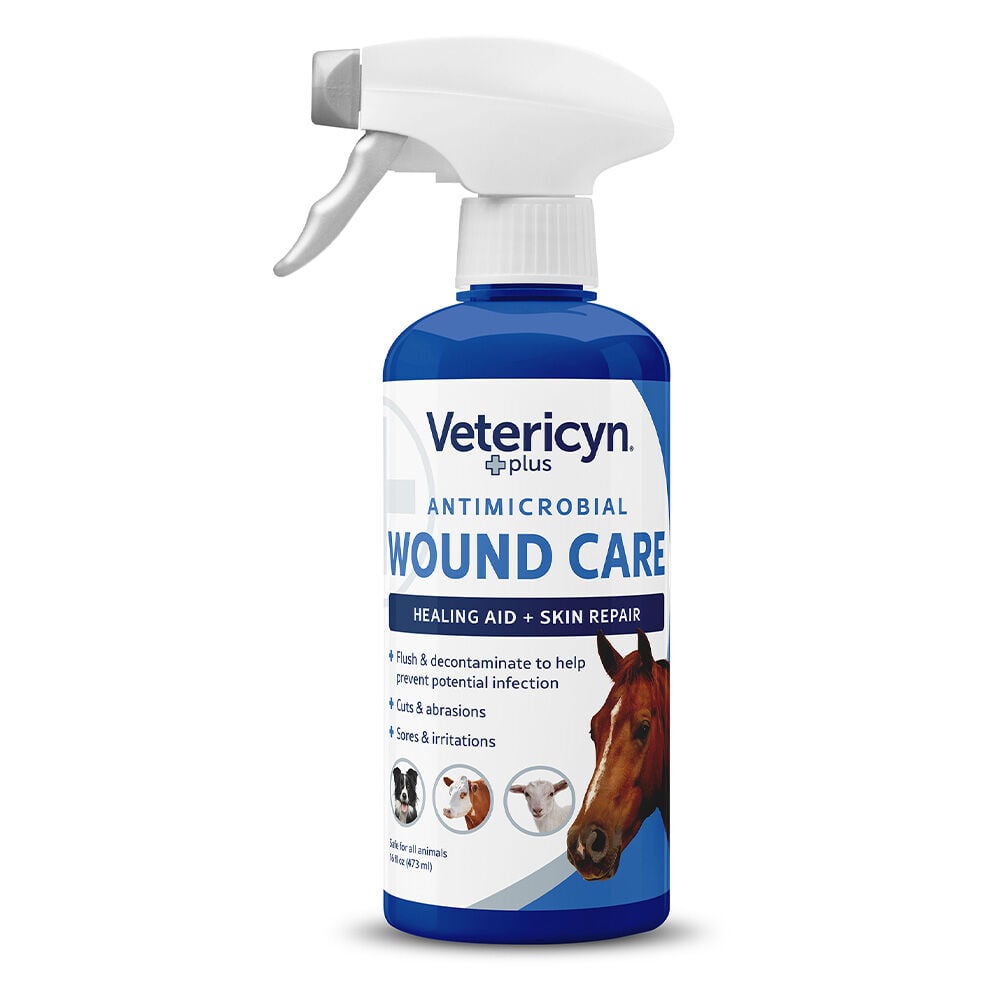 image of Wound and Infection Spray, 16 oz
