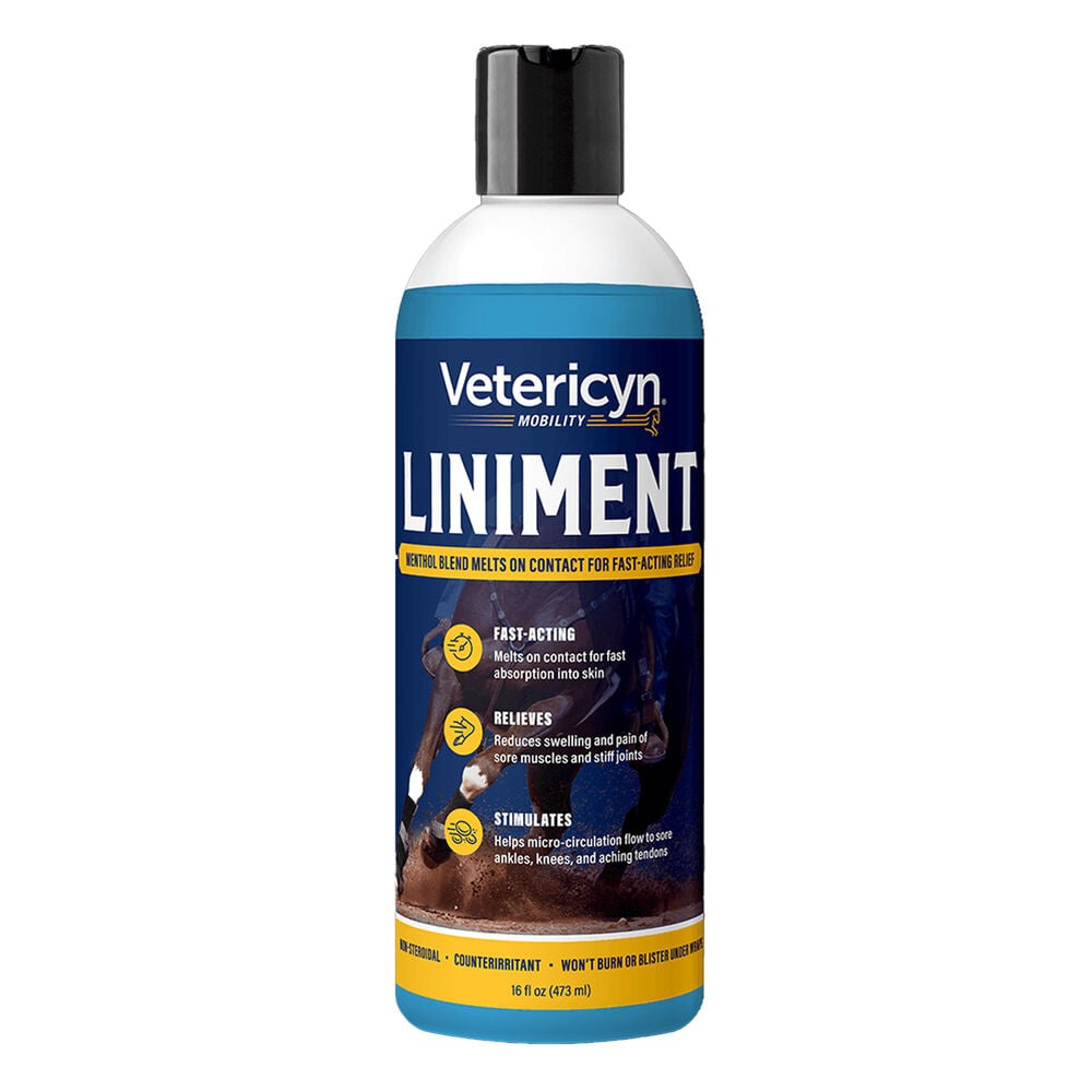 image of Equine Liniment, 16 oz