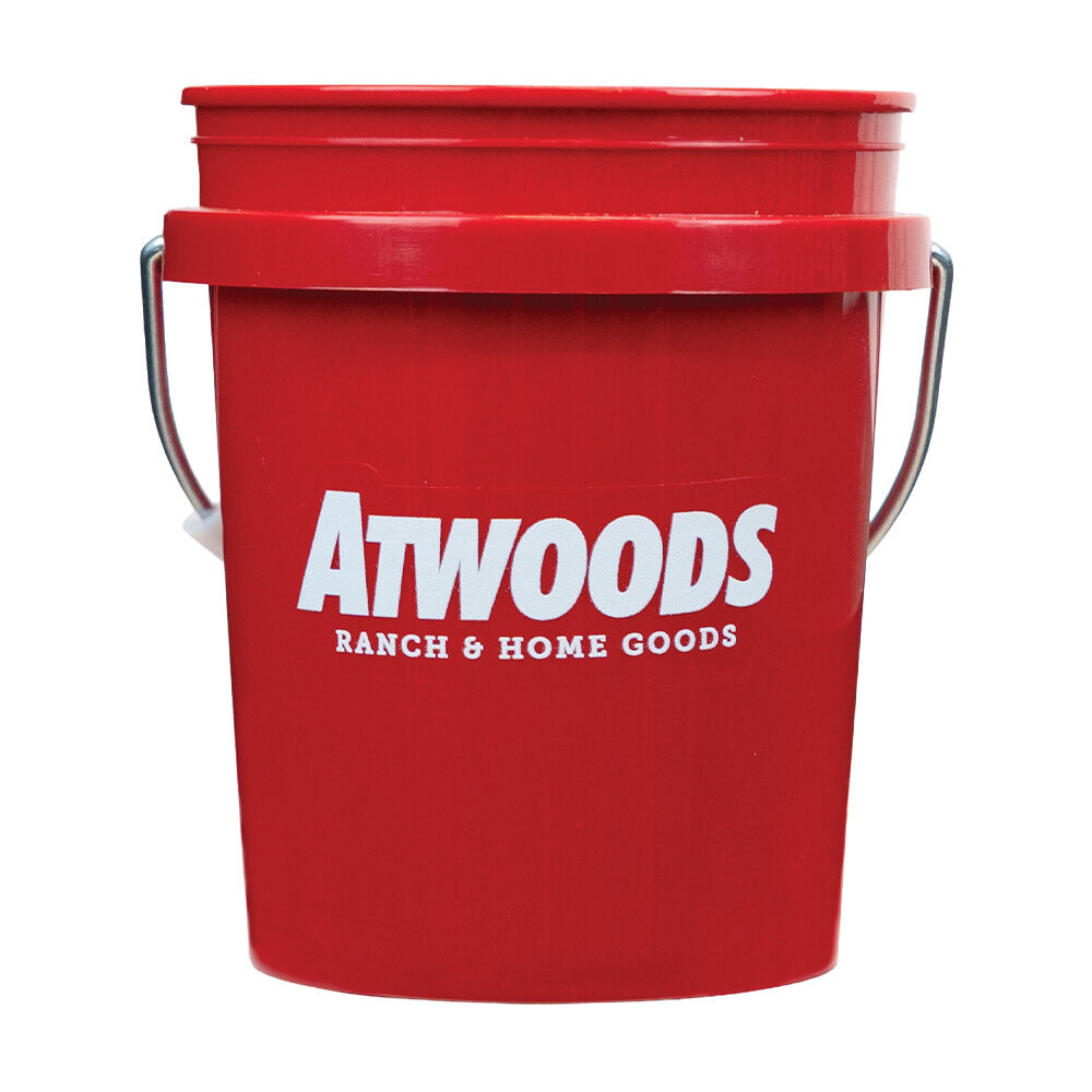 image of Mini Printed Pail