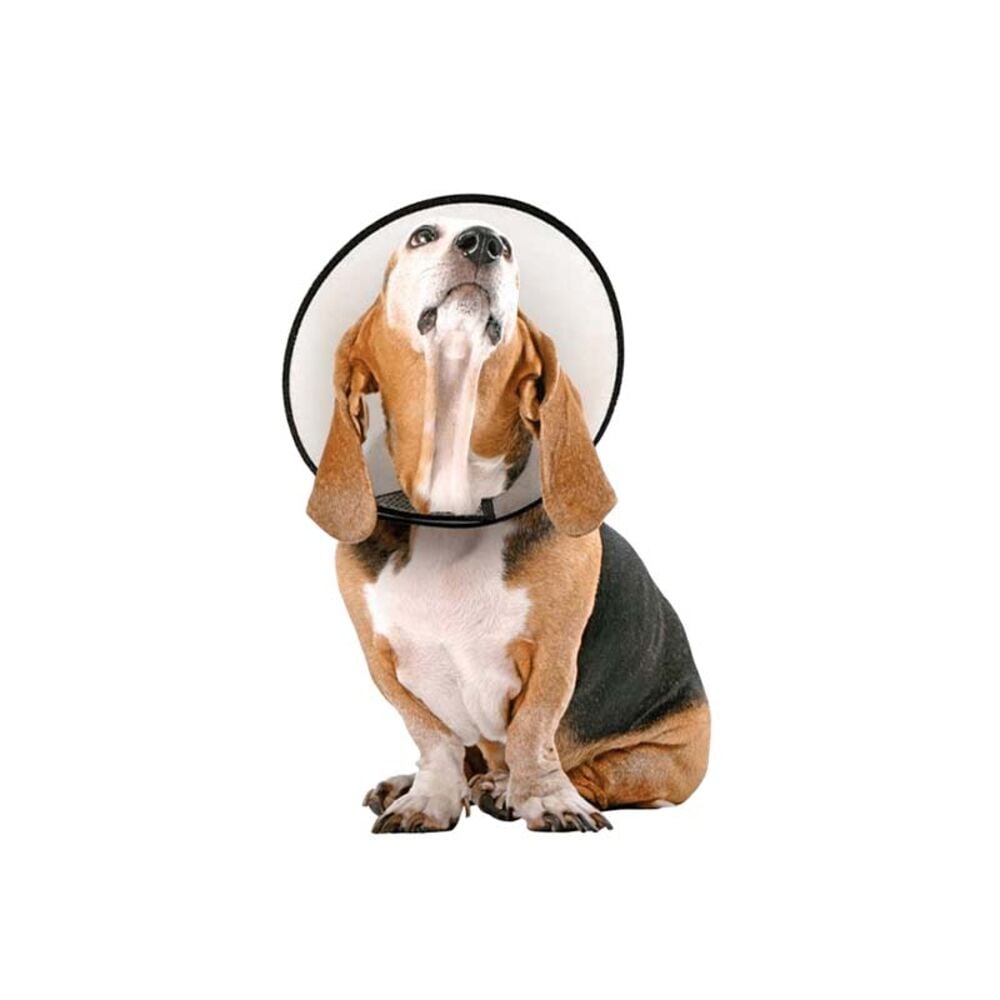 image of Cone Collar, XL