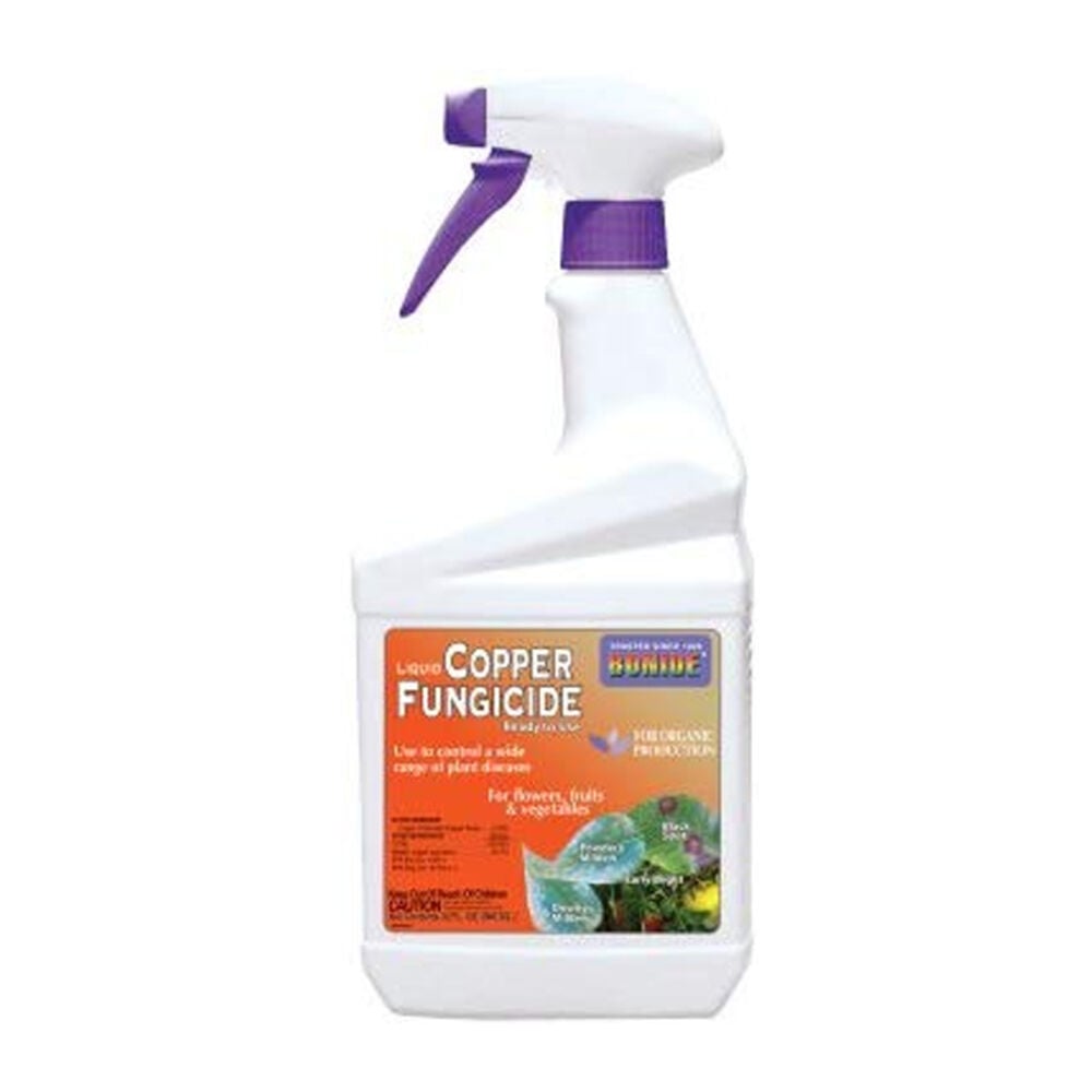 image of Copper Fungicide, 1 QT