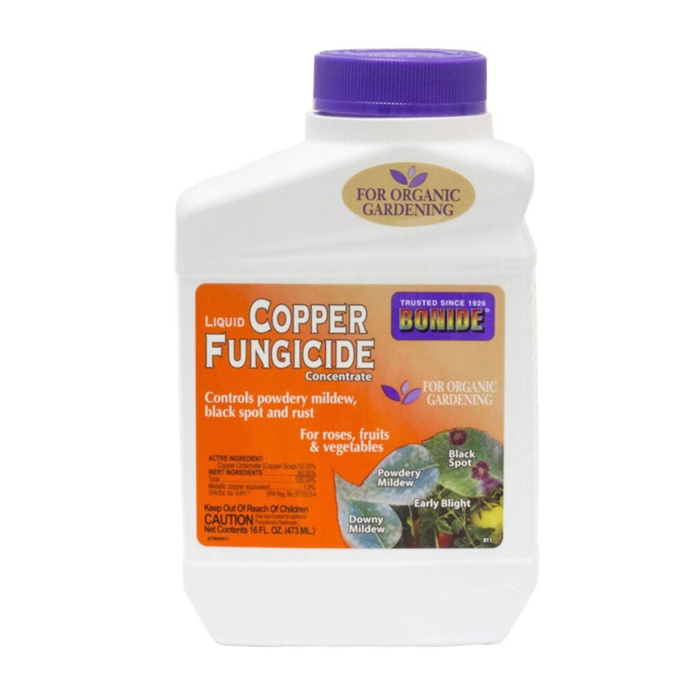 image of Copper Fungicide Concentrate, 1 PT
