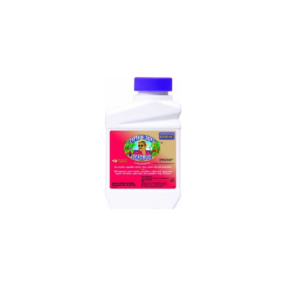 image of Captain Jack DeadBug Concentrate, 1 Pt.