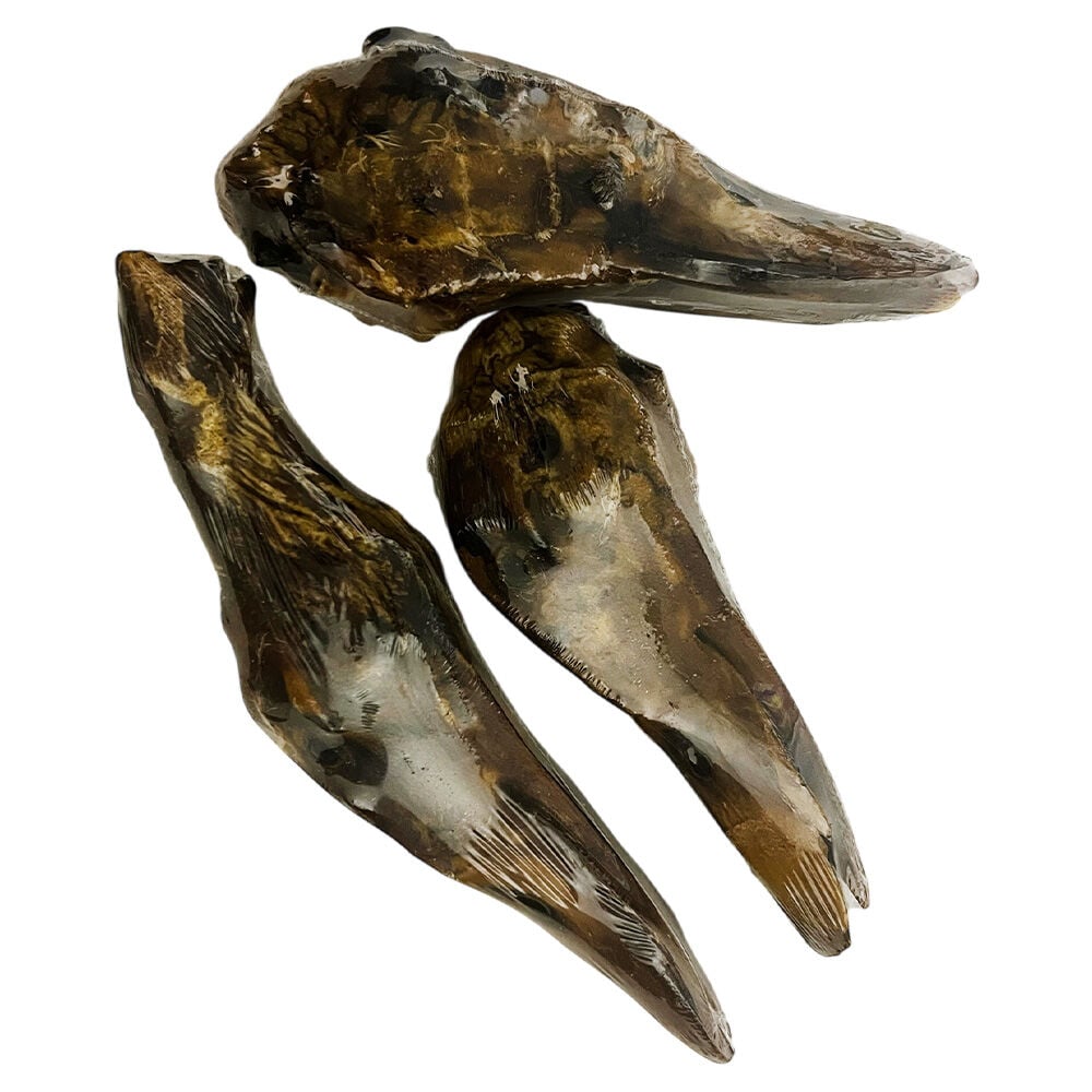 image of Duck Head