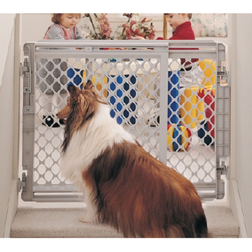image of Walk Thru Pet Gate