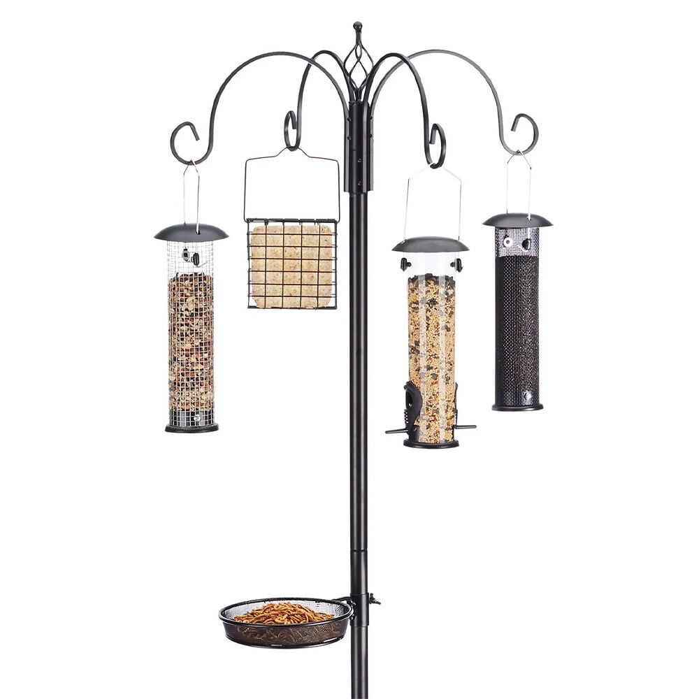 image of Ultimate Bird Feeding Station