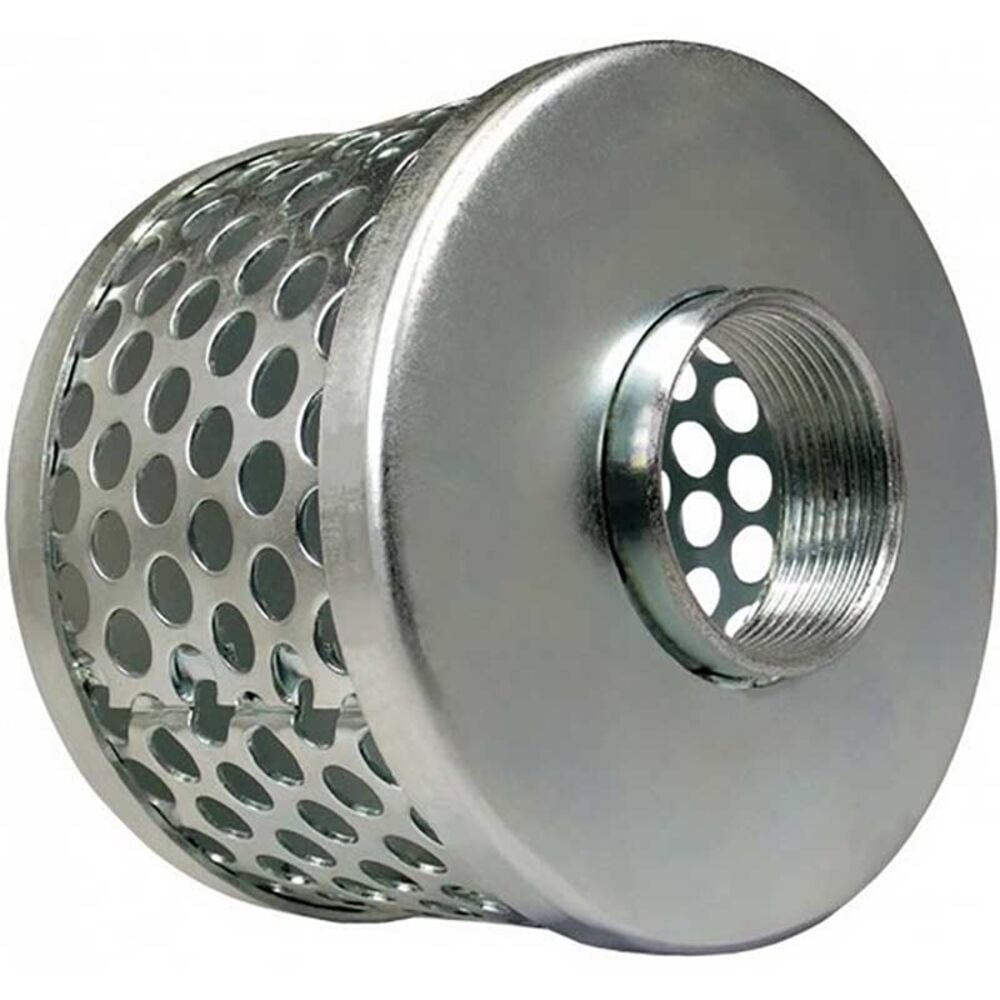 image of Round Hole Steel Strainer, FPT 1 in