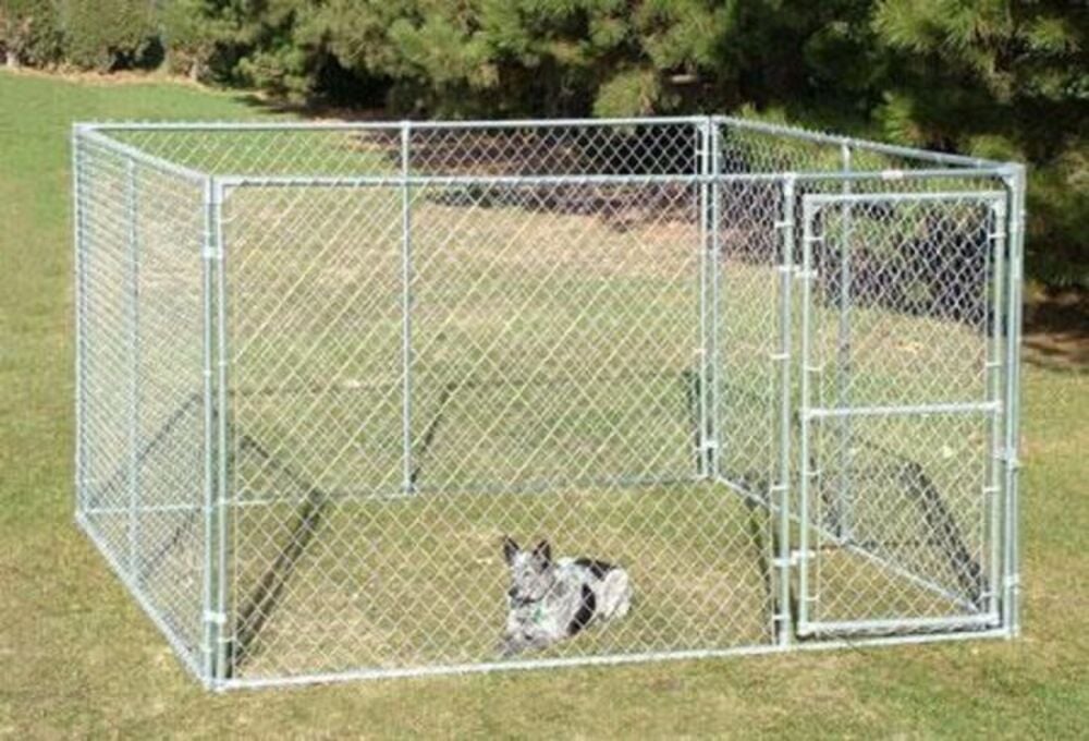 image of Chain Link Complete Dog Kennel, 10 ft x 10 ft x 6 ft
