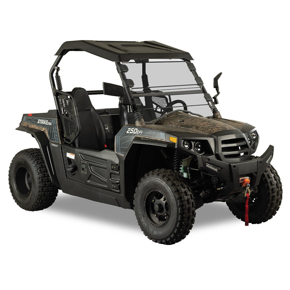 image of Realtree Strike 250R 2WD UTV