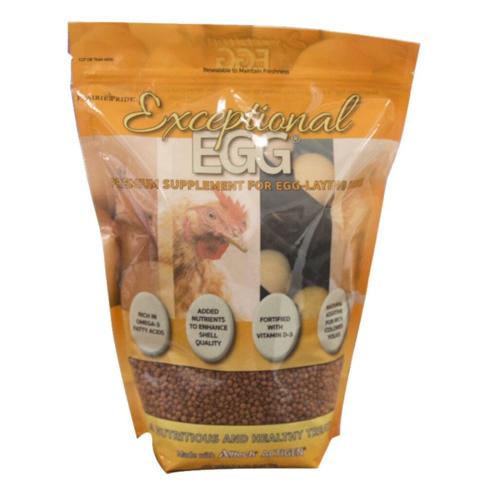 image of Poultry Supplement- Exceptional Egg, 3 lb
