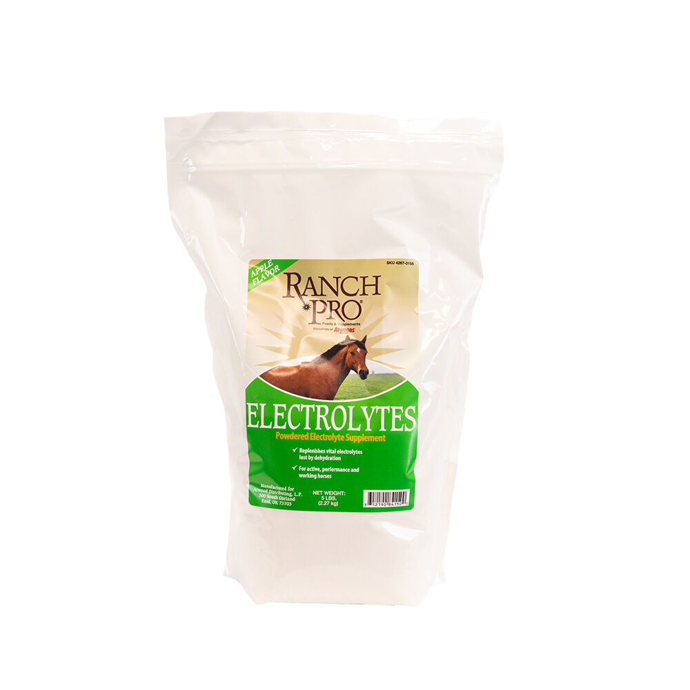 image of Apple Flavor Electrolytes Powdered Supplement, 5 lbs