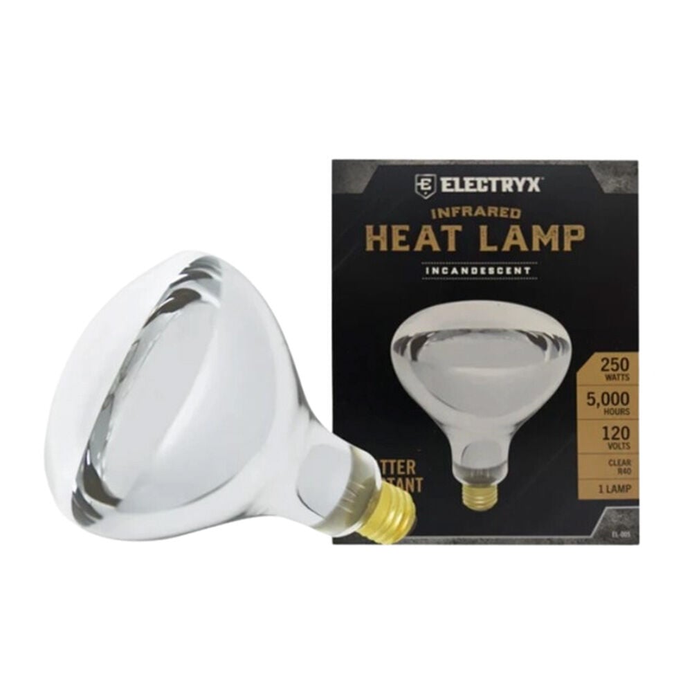 image of 250W Clear Heat Lamp Single Bulb