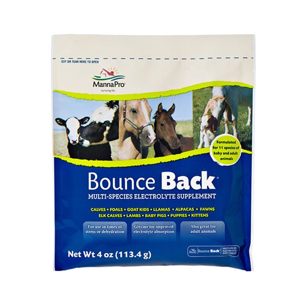 image of Bounce Back Electrolyte Supplement, 4 oz