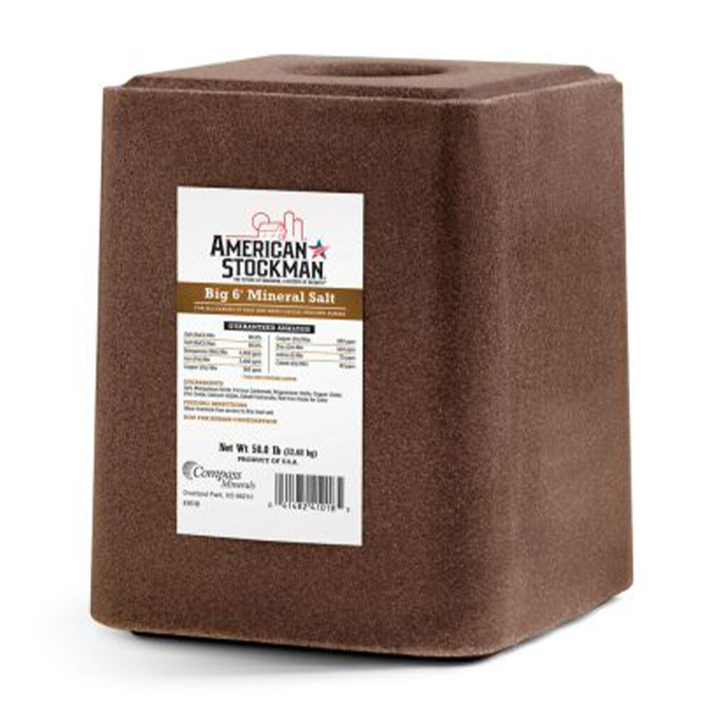 image of Big 6 Mineral Salt Block, 50 lb