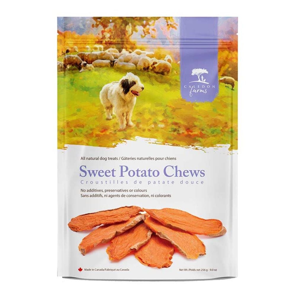 image of Sweet Potato Chews Dog Treats