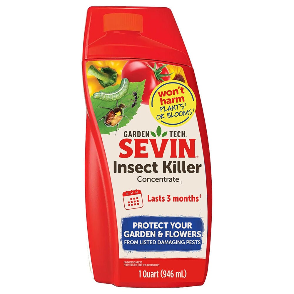 image of Insect Killer Concentrate, 32 oz