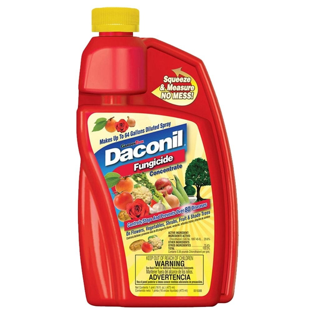 image of Fungicide Concentrate, 16 oz