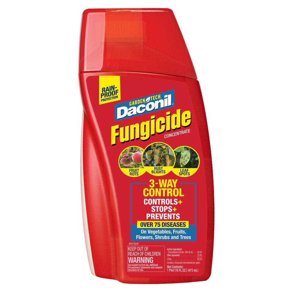 image of Fungicide Concentrate, 16 oz
