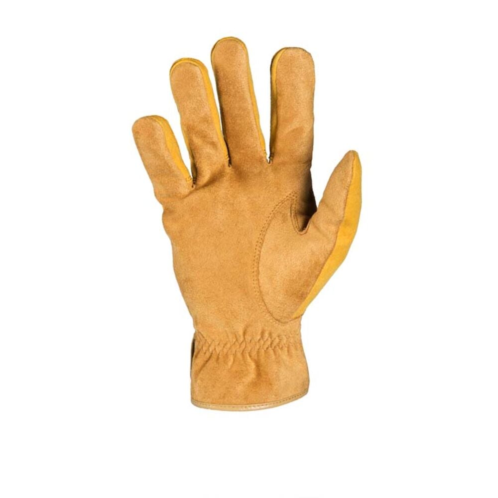 image of Men's Dakota Glove