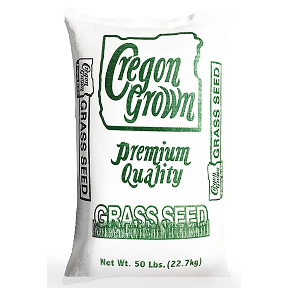 image of Annual Ryegrass Grass Seed- 50 lb