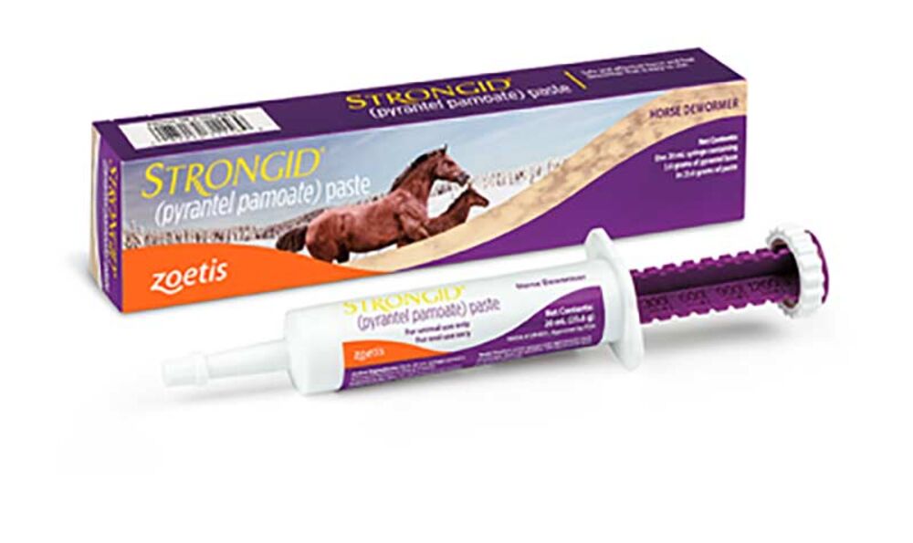 image of STRONGID Paste