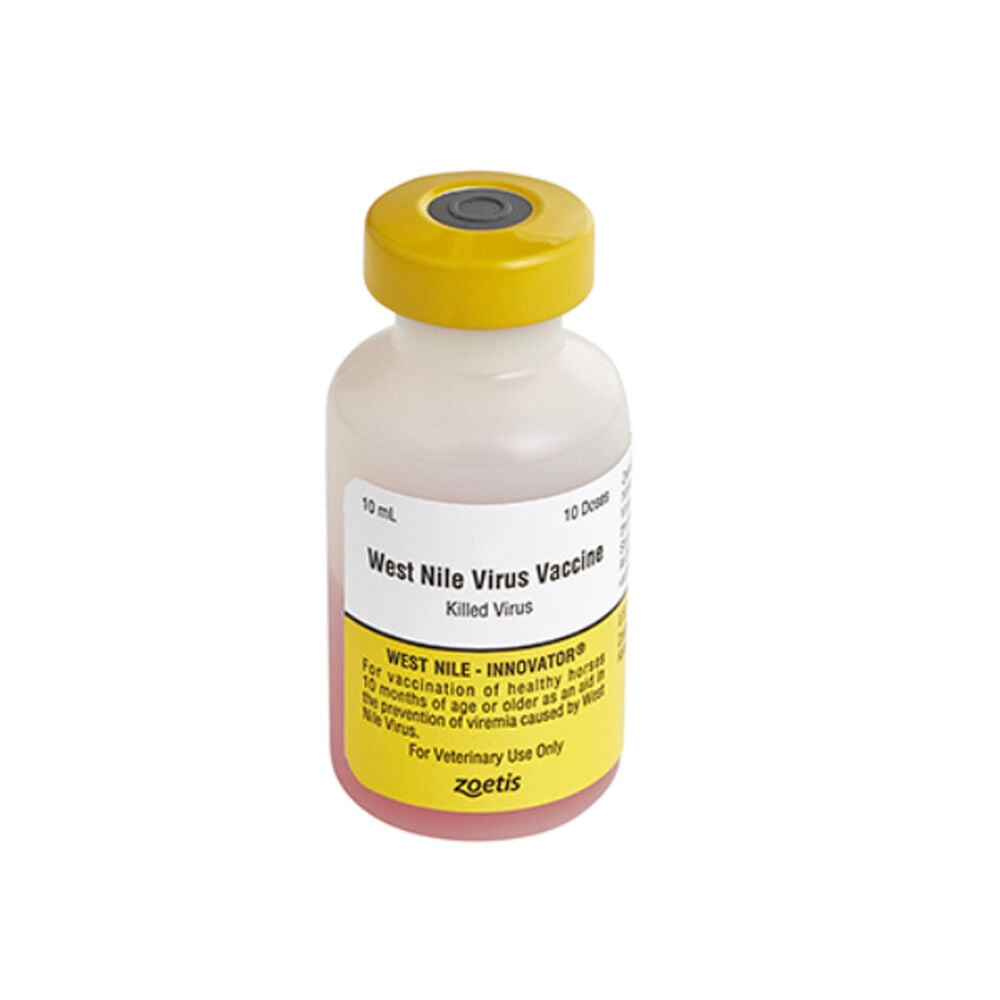 image of West Nile-Innovator