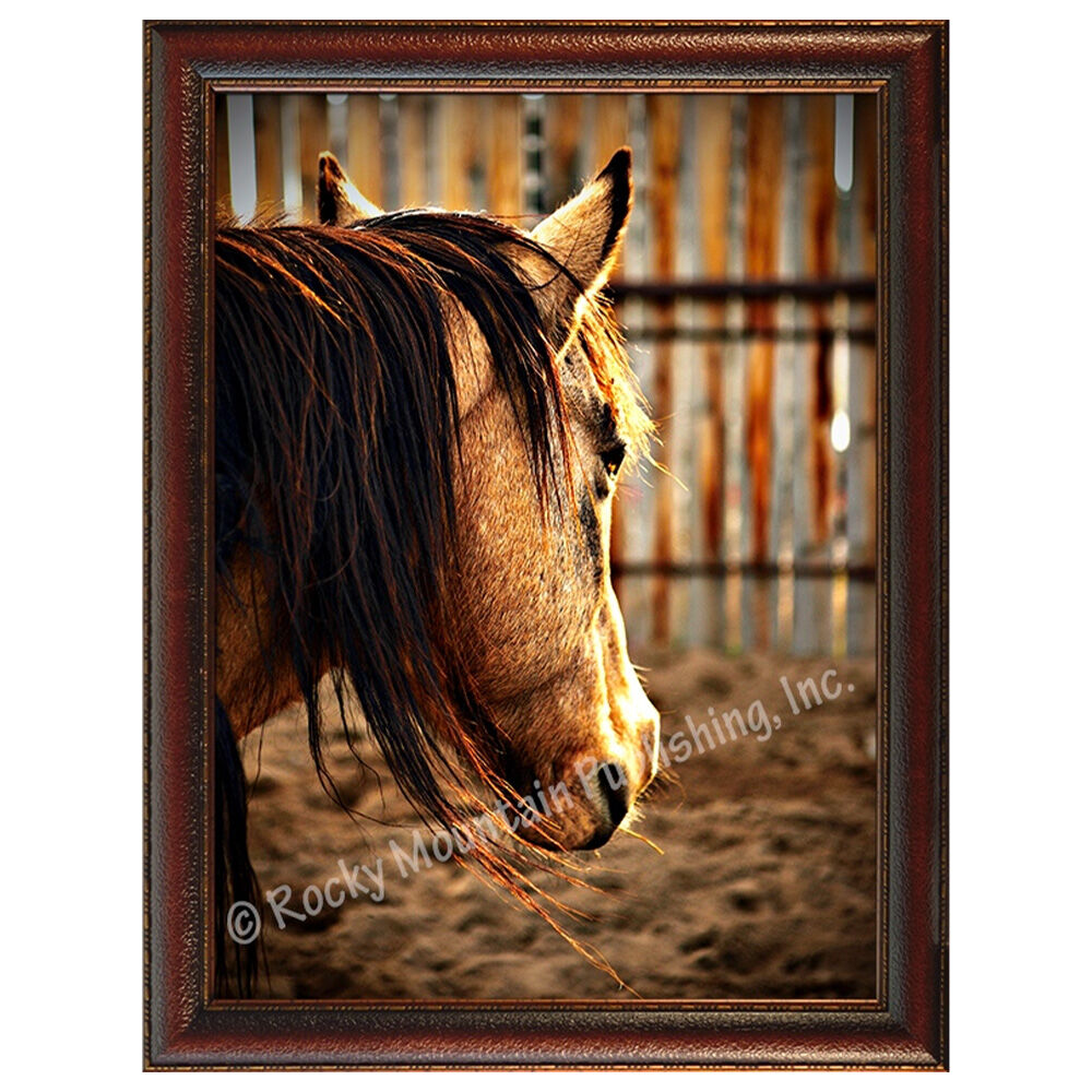 image of 7 x 10 Canvas Wall Art- Sunset Corral by Mitchell Mansanarez