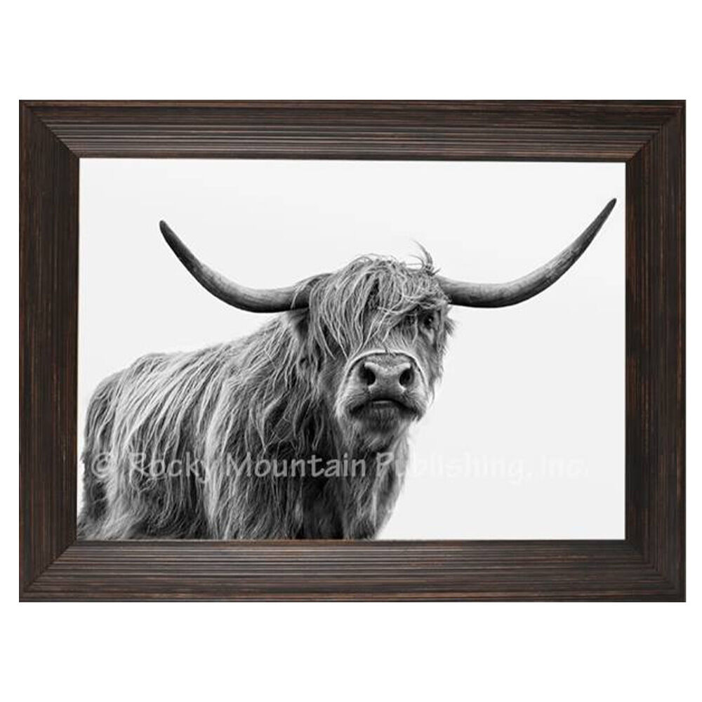 image of 10 x 7 Canvas Wall Art- Eye to Eye
