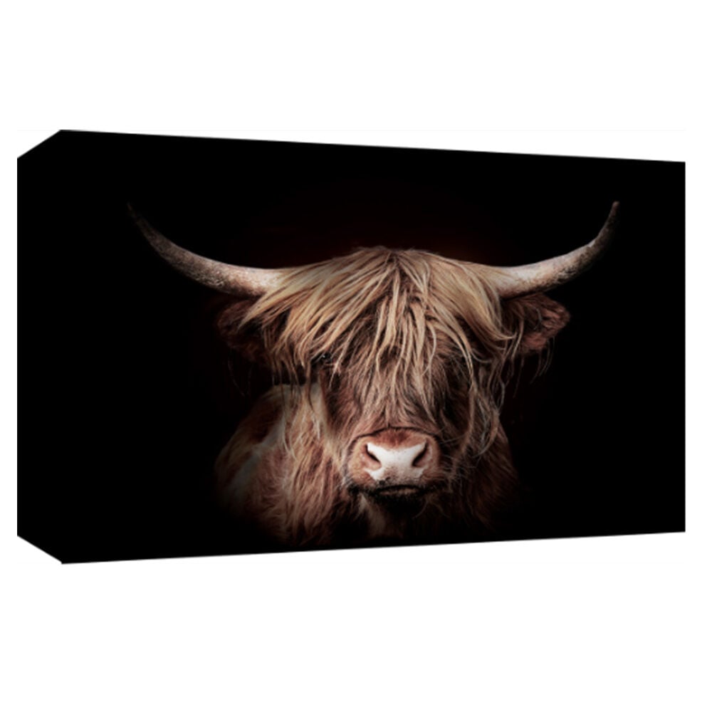 image of 12 x 18 Canvas Giclée Wrap, Out Of The Dark