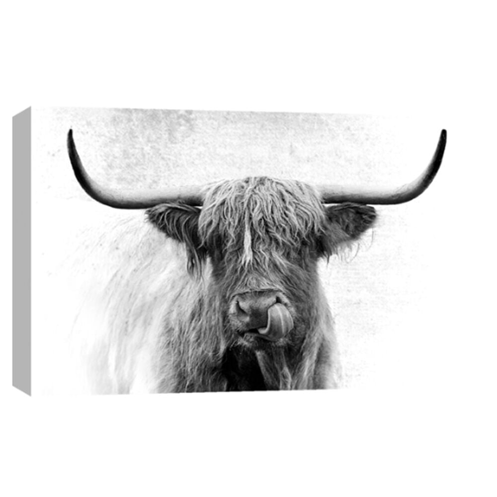 image of 12 x 18 Canvas Giclée Wrap, Tongue Twister