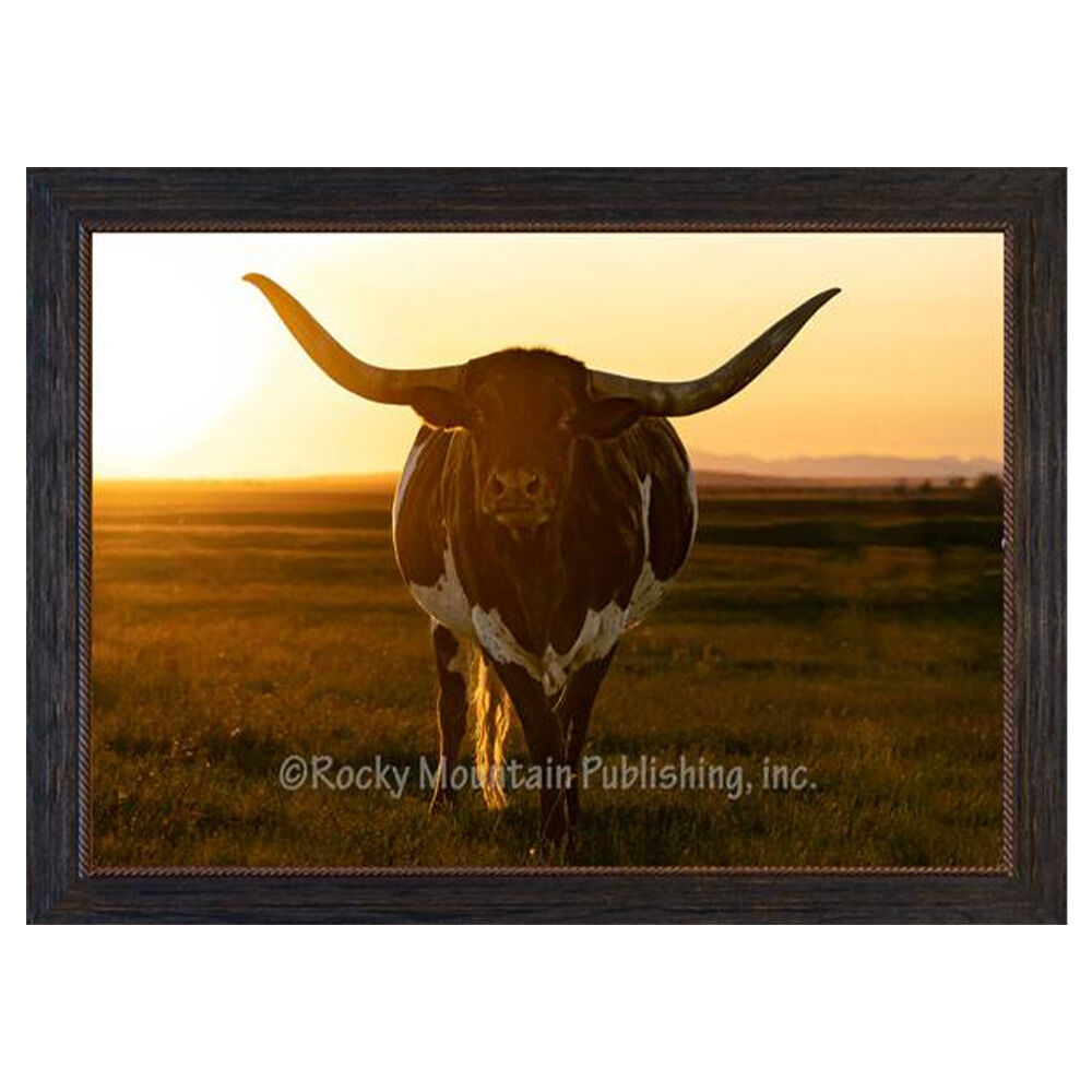 image of 10 x 8 Canvas Wall Art- Longhorn Sunset by Summer Jackman